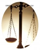 Adopcion homoparental