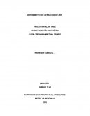 Extraccion de ADN casero.