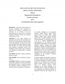 Simulacion de circuitos neumaticos.