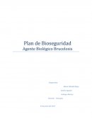 Plan de Bioseguridad - Agente Biológico Brucelosis