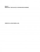 BENEFICIOS Y VENTAJAS DE LA INTEGRACIÓN ECONÓMICA