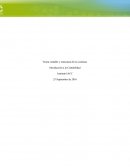 Teoría contable y estructura de los sistemas. Lea con atención el siguiente caso y responda: Usted es el contador general de la empresa Pérez Rocis Ltda