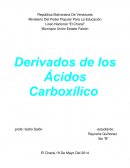 Derivados de los ácidos carboxílico.