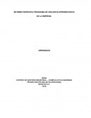 INFORME PROPUESTA PROGRAMA DE VIGILANCIA EPIDEMIOLÓGICA DE LA EMPRESA