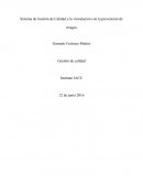 Sistema de Gestión de Calidad y la vinculación con la prevención de riesgos..