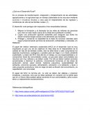 Impacto del MVZ en el sector rural