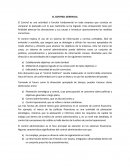 EL CONTROL GERENCIAL.