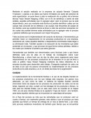 Implementación de herraminetas o técnicas Lean para mejorar procesos productivos.