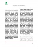 FUENTE DE VOLTAJE VARIABLE