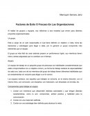 Exito o fracaso en las empresas