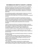 RECOMBINACION GENETICA DURANTE LA MEIOSIS.