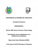 Participación de los trabajadores en las utilidades de las empresas.