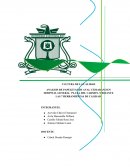 CULTURA DE LA CALIDAD ANALISIS DE PAPELETAS DE AVAL CIUDADANO EN HOSPITAL GENERAL PLAYA DEL CARMEN, MEDIANTE LAS 7 HERRAMIENTAS DE CALIDAD