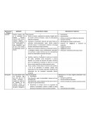 Consolidacion mecanismos cognoscitivos.