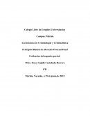 Derecho procesal penal tradicional.