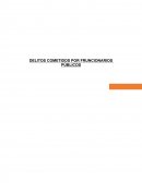 DELITOS COMETIDOS POR FRUNCIONARIOS PÚBLICOS