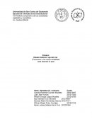 Terrorismo, una nueva modalidad para alcanzar la paz.