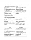 FODA Lucchetti – Milanesas de soja