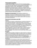 Transcripción genética ARN.