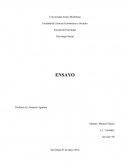 Ensayo analitico de la pelicula Crash.