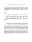 EMPRESA MANUFACTURERA PRODUCTORA DE CEREAL A BASE DE MAÍZ.