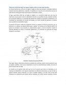 Síntesis hidrotermal en agua supercrítica-nano partículas.