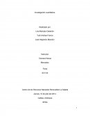 Investicacion cualitativa.