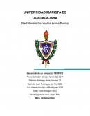 El proyecto consiste en la elaboración de un nuevo producto con el fin de lograr todas las características para que sea rentable.