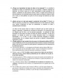 ¿Por que son importantes las bases de datos en las empresas?