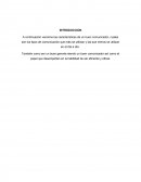 Caracteristas de un comunidador