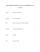 Modelos canvas sobre proyecto chile El catrachito.