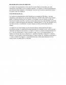 REGISTRO DE DESPLAZAMIENTO DE ENTRADA Y SALIDA EN SERIE