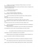 Guia museo de Antropologia e Historia