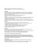 Sueño y vigilia. Funciones superiores del sistema nervioso.