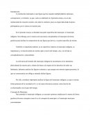 La institución municipal es una figura que ha causado multiplicidad de opiniones, concepciones y corrientes