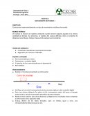 INFORME MOVIMIENTO RECTILINEO