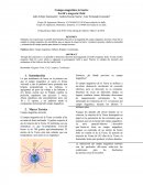 Campo magnético, Bobina, Brújula, Coordenadas.