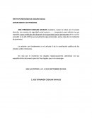 INSTITUTO MEXICANO DEL SEGURO SOCIAL DEPARTAMENTO DE PENSIONES