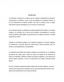Municipio indigena.