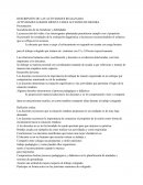 DESCRIPCIÓN DE LAS ACTIVIDADES REALIZADAS ACTIVIDADES LOGROS DIFICULTADES ACCIONES DE MEJORA