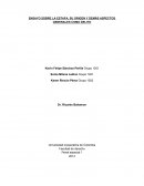 LA ESTAFA, SU ORIGEN Y DEMÁS ASPECTOS GENERALES COMO DELITO