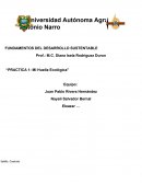 Practica 1: Mi huella ecológica