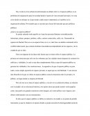 Espacio Publico (Punto de partida para la alteridad)