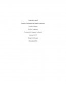 Tema- El Estudio y Declaración de Impacto Ambiental.