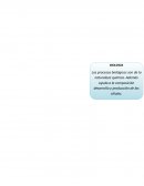 Contribución de la Química y otras ciencias al avance de la tecnología.