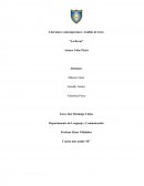 Literatura contemporánea: Análisis de texto.