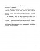 Planeación de presupuesto.