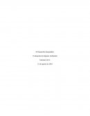 Un Tema- Desarrollo Sustentable.