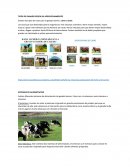 Tipos de ganado segun su aprovechamiento.