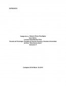 Trabajo De La Historia Clínica Psicológica.